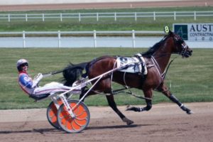 Horse and greyhound races are not suspended in New Zealand, but will continue with only essential personnel and no public.