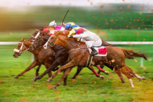 The Spring Racing Carnival is one of the biggest horse racing events in Victoria.