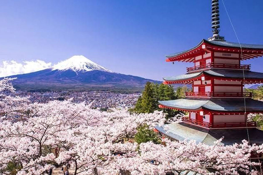 Japan tourism down 97% year-on-year in November