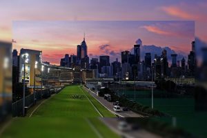 Record betting turnover for Hong Kong racing