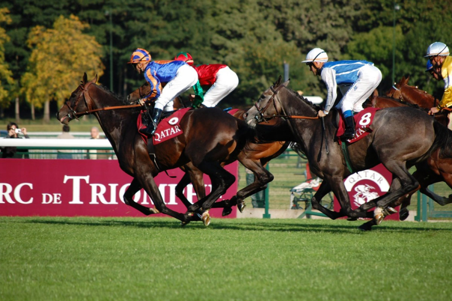 The Australian Greens have proposed closing all horseracing venues.