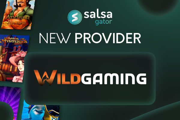 Salsa Technology e Wild-Gaming se unem para expandir presença na América do Sul. (Imagem: Divulgação/Salsa Technology)