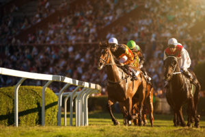 el-hipodromo-de-tucuman-vuelve-a-cerrar